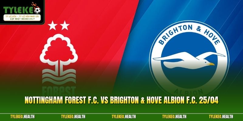 Nottingham Forest F.C. vs Brighton & Hove Albion F.C. 25/04