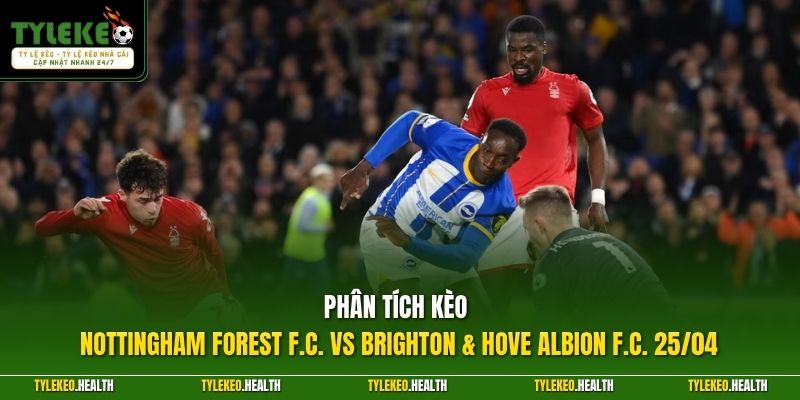 Phân tích kèo Nottingham Forest F.C. vs Brighton & Hove Albion F.C. 25/04