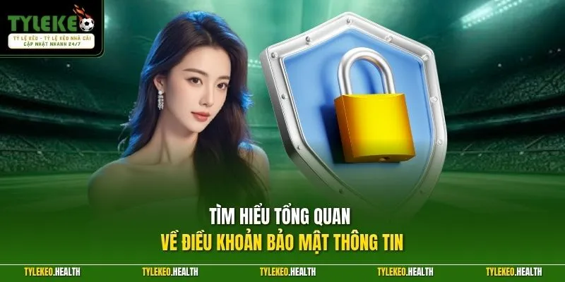 Tìm hiểu tổng quan về điều khoản bảo mật thông tin